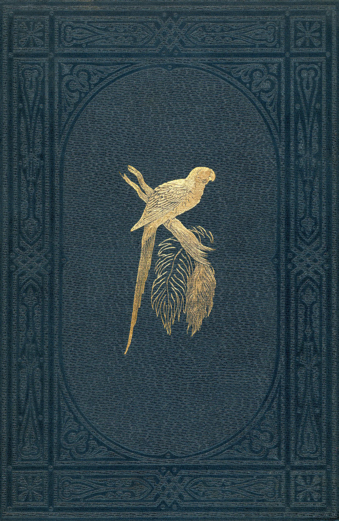 Vintage Parrot Wall Art, Navy Blue and Gold Bird Print, Antique Book Cover Poster, Victorian Ornithology Decor