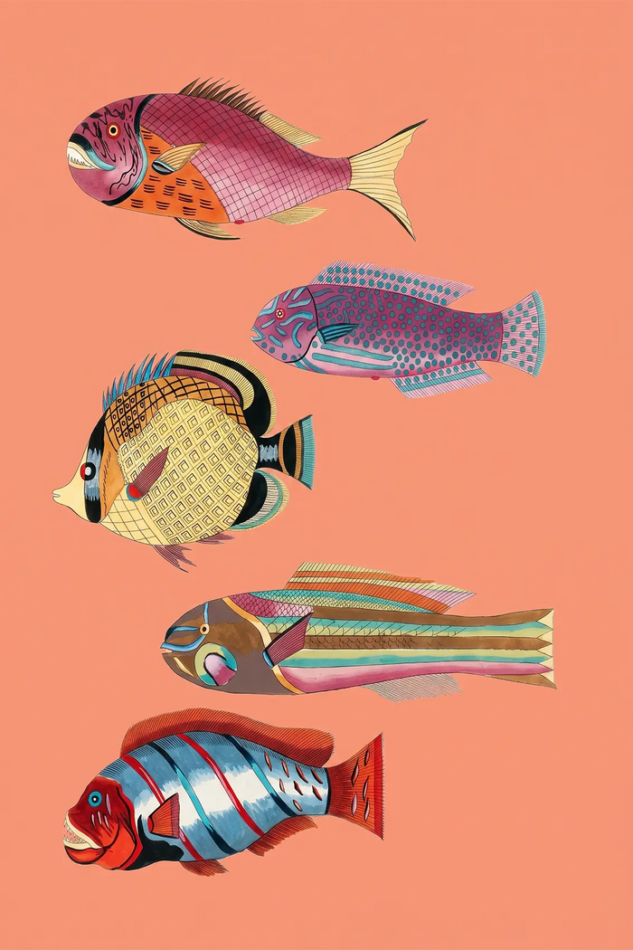 Colorful Fish Artwork, Vintage Kitchen Decor, Coastal Food Print, Mediterranean Fish Poster, Retro Culinary Wall Art