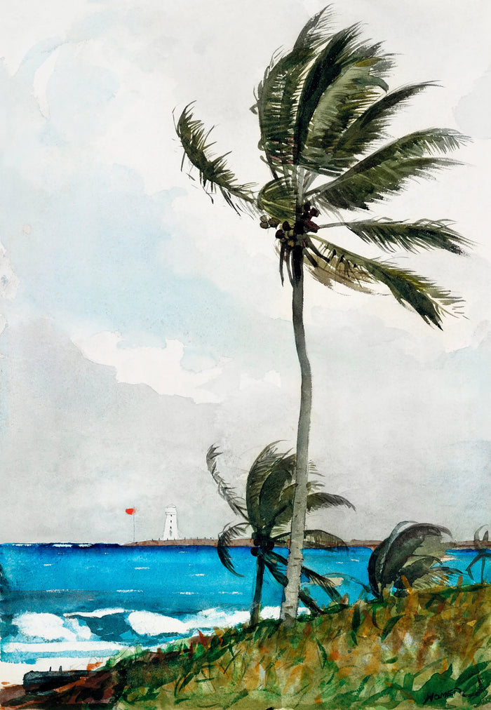 Tropical Palm Tree Watercolor Painting Canvas Wall Art, Coastal Beach House Wall Decor, Ocean Landscape Print, Housewarming Gift