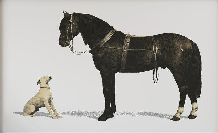 Vintage Horse and Greyhound Dog Minimalist Canvas Wall Art Print