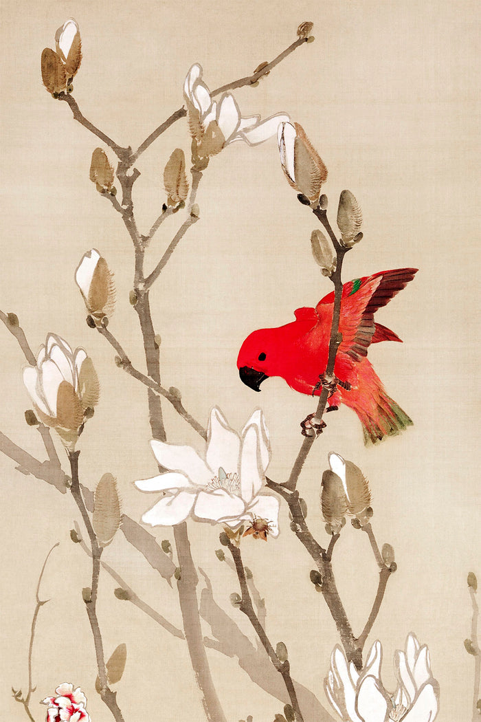 Red parakeet (1830s) vintage Japanese painting by Mihata Joryu
