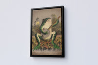 A Frog Playing Banjo in The Moonlight Vintage Poster - Canvasworkshop