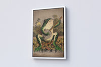 A Frog Playing Banjo in The Moonlight Vintage Poster - Canvasworkshop