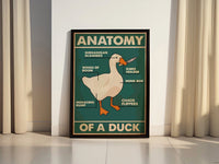 Anatomy of a Duck Canvas Poster - Canvasworkshop