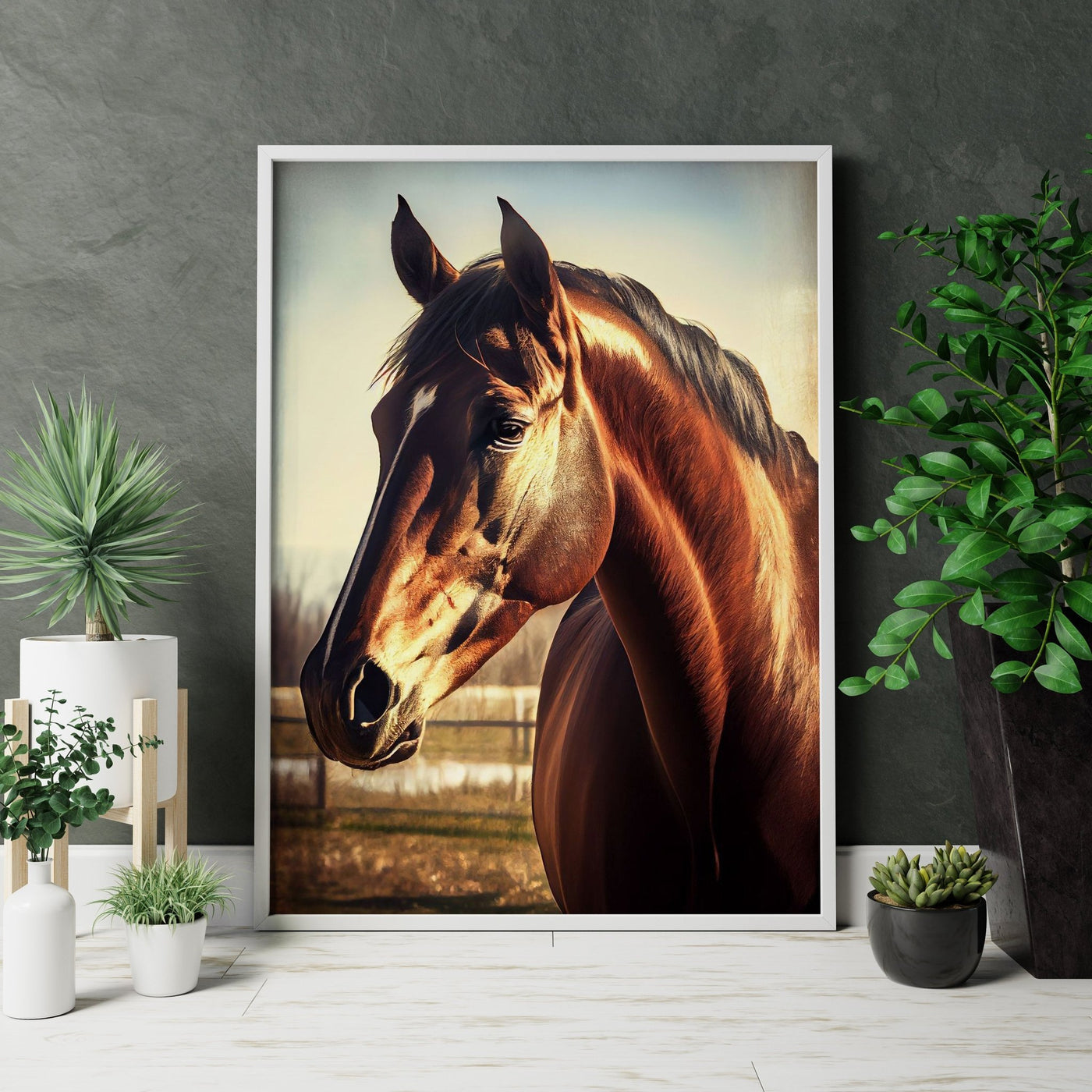 Beautiful Horse Canvas Art