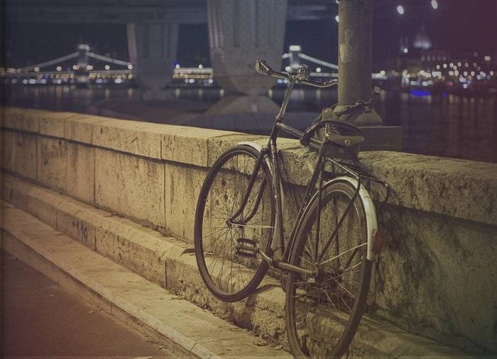 Budapest Danube Bicycle Night Wall Art