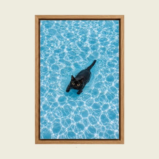 Black Cat in the Swimming Pool canvas wall art in a floating oak frame