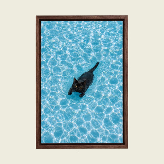 Black Cat in the Swimming Pool canvas wall art in a floating walnut frame
