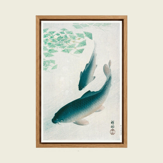 Blue Koi Fish canvas wall art in a floating oak frame