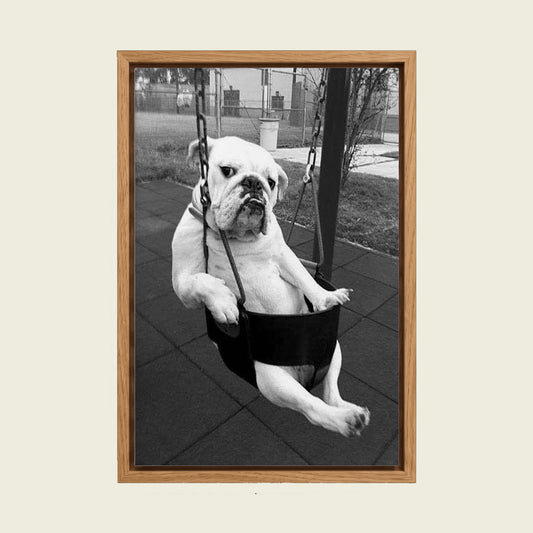 Funny Bulldog canvas wall art in a floating oak frame