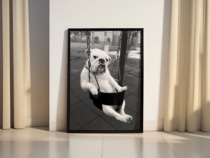 Bulldog Funny Canvas Photograpy Art Canvas Wall Art
