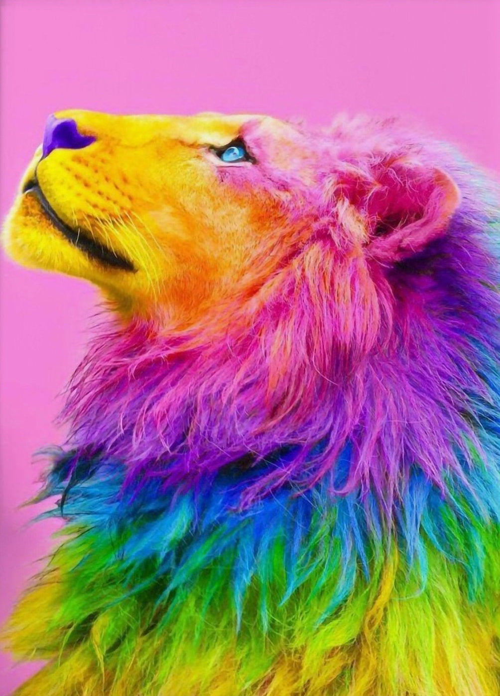 Rainbow Lion Portrait Wall Art