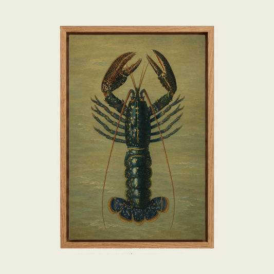 Crimson Crawfish by Charles Dessalines d'Orbigny canvas wall art in a floating oak frame