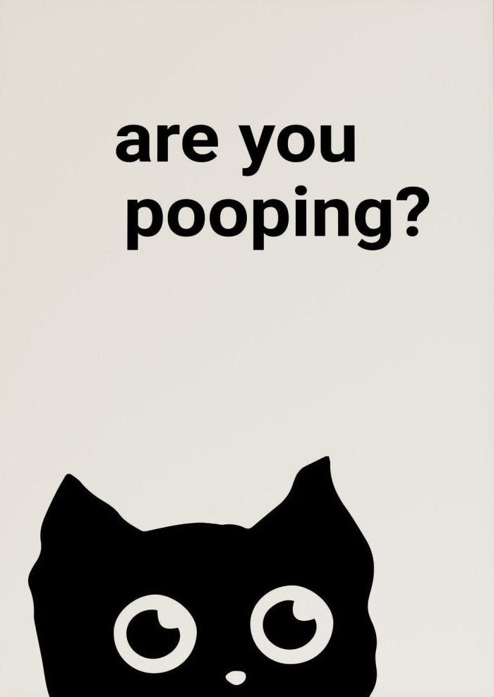 Are You Pooping Funny Black Cat Bathroom Canvas