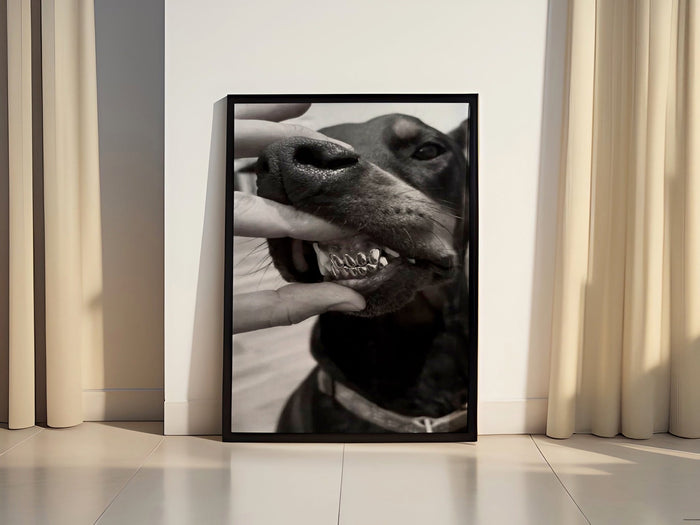 Doberman Canvas Wall Art