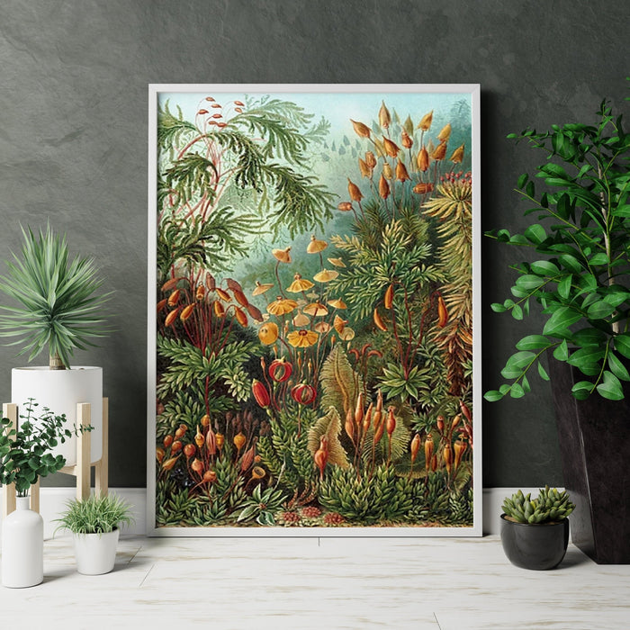Ernst Haeckel Botanical Canvas Wall Art
