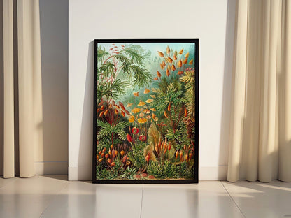 Ernst Haeckel Botanical Canvas Poster - Canvasworkshop