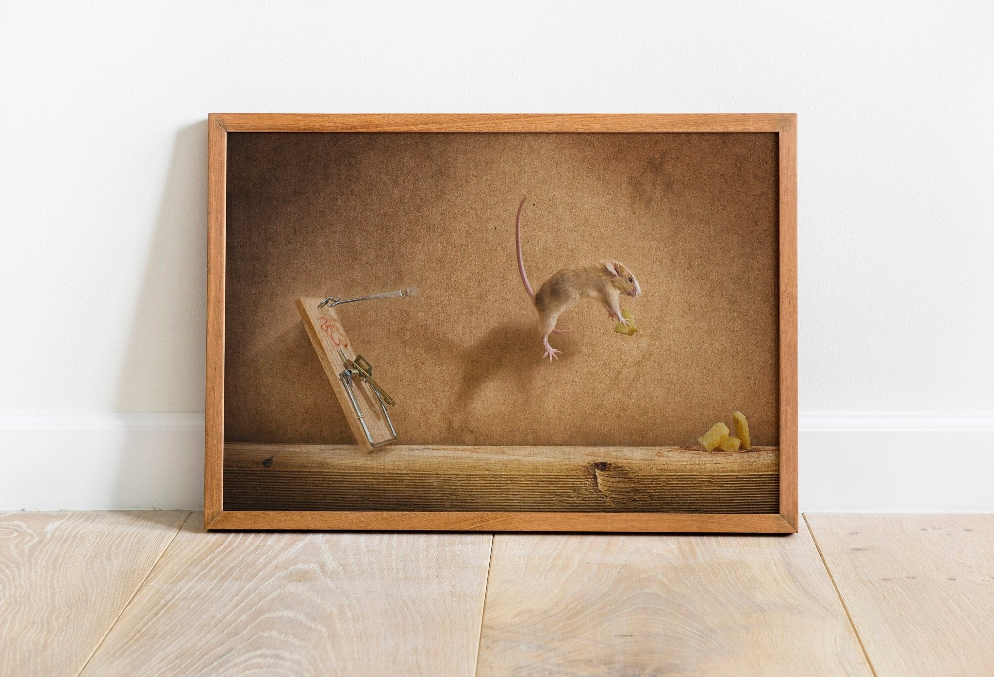 Funny Animal Canvas Art - Canvasworkshop