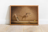 Funny Animal Canvas Art - Canvasworkshop
