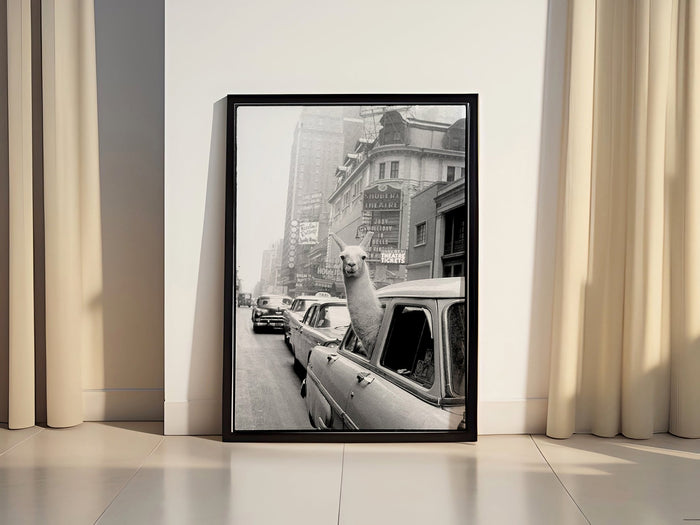 Lustige Tierfotografie Leinwand