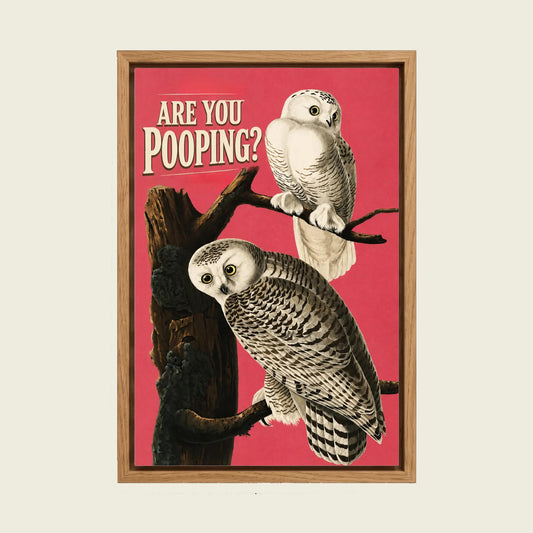 Are You Pooping? Snowy Owl canvas wall art in a floating oak frame