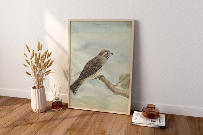 Hollandse Vogel Canvas Wall Art