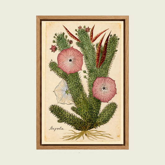 Hoodia Gordonii Cactus canvas wall art in a floating oak frame