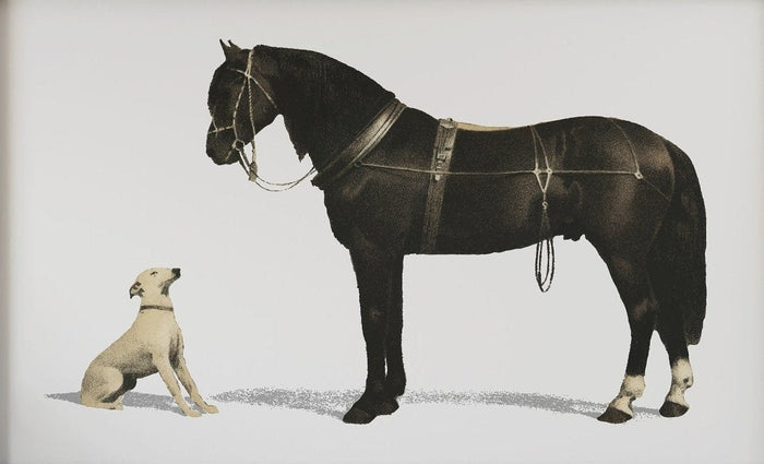 Emil Volkers Orloff Horse and Dog Canvas Art