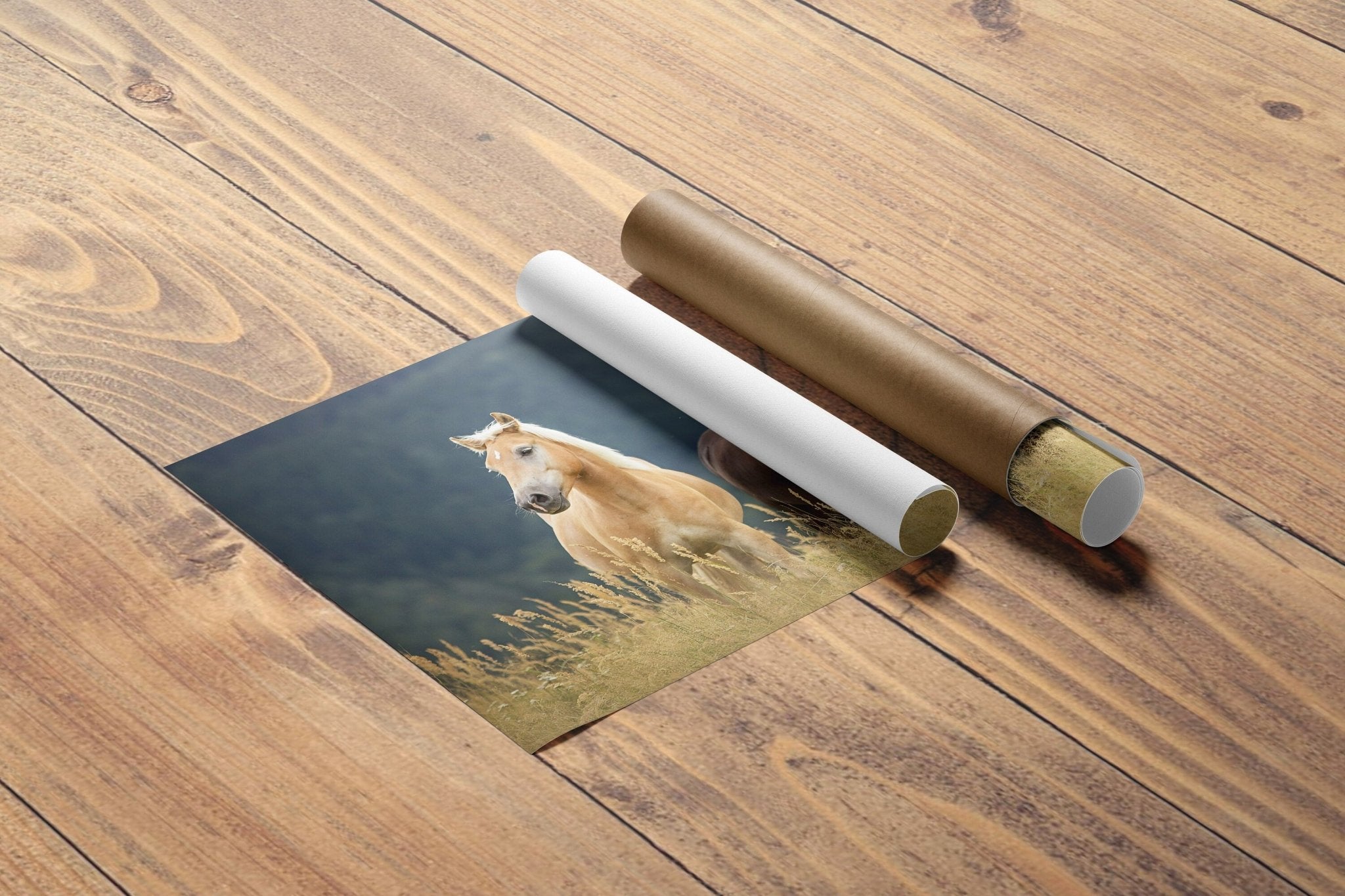 Horse Canvas Wall Art Decor - Canvasworkshop
