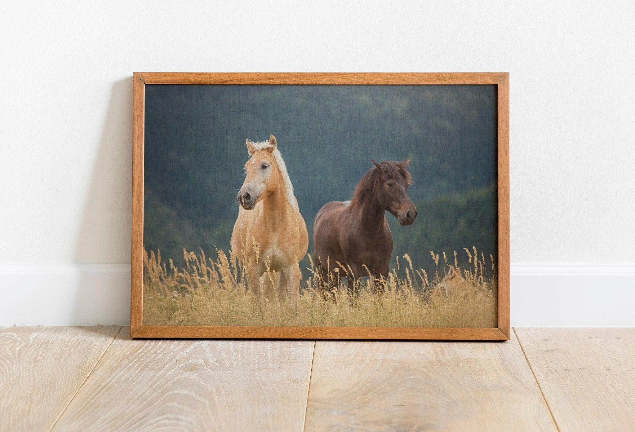 Horse Canvas Wall Art Decor - Canvasworkshop