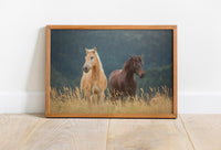 Horse Canvas Wall Art Decor - Canvasworkshop