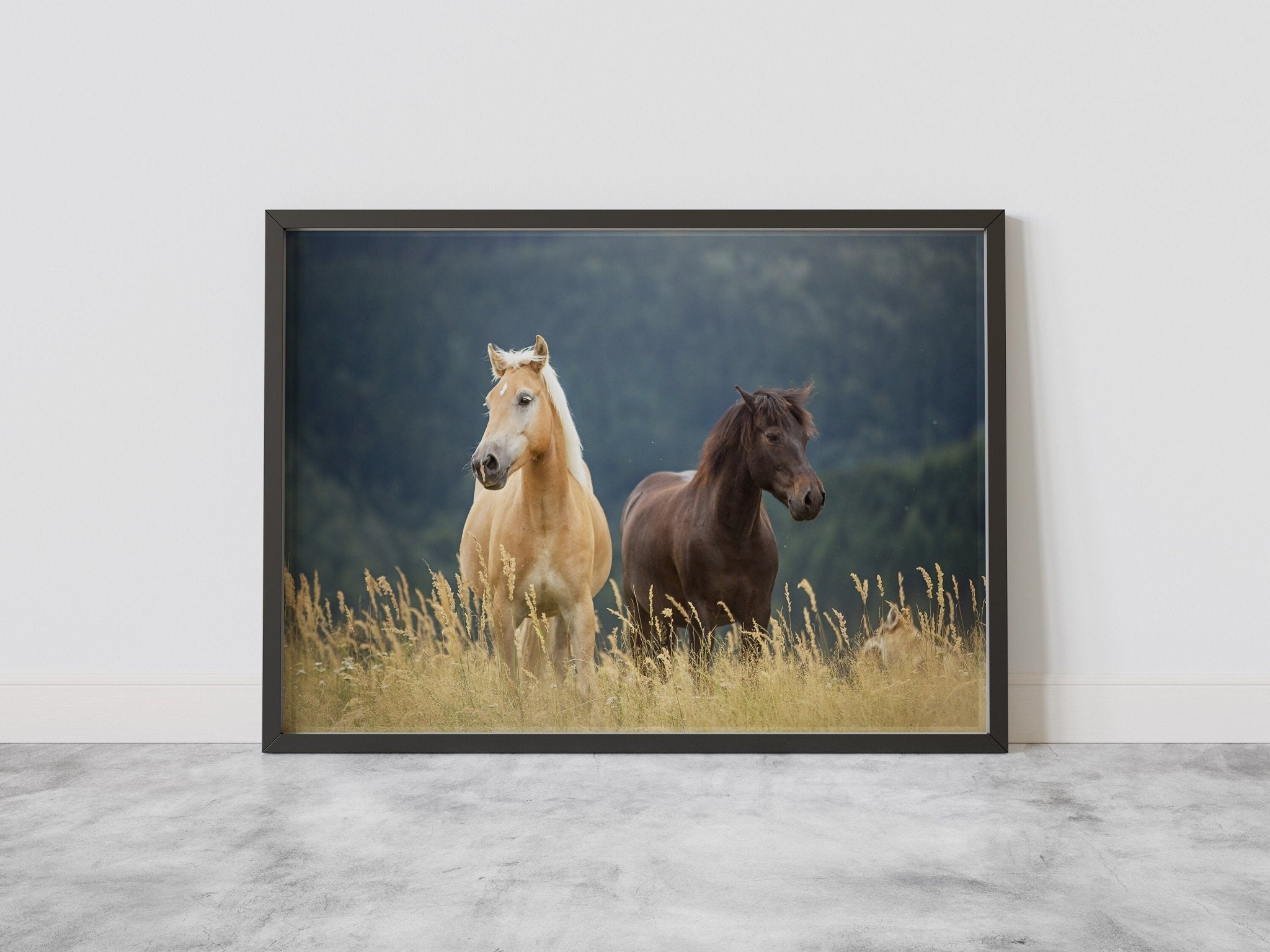 Horse Canvas Wall Art Decor - Canvasworkshop
