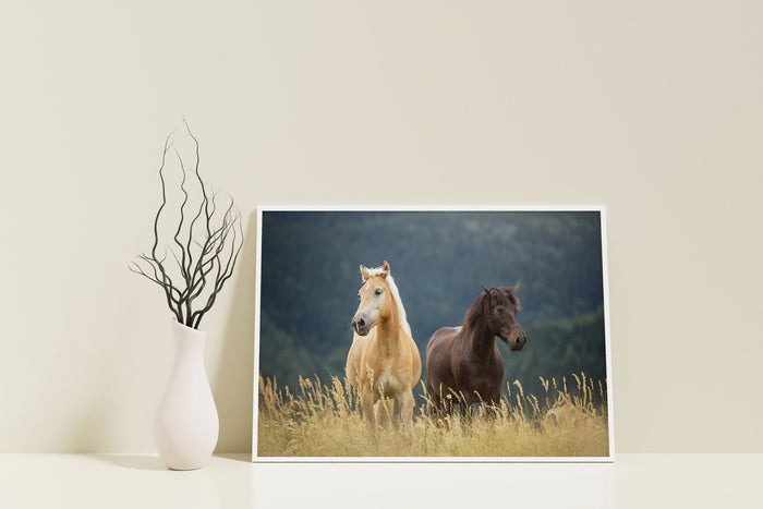 Horse Canvas Wall Art Decor Canvas Wall Art