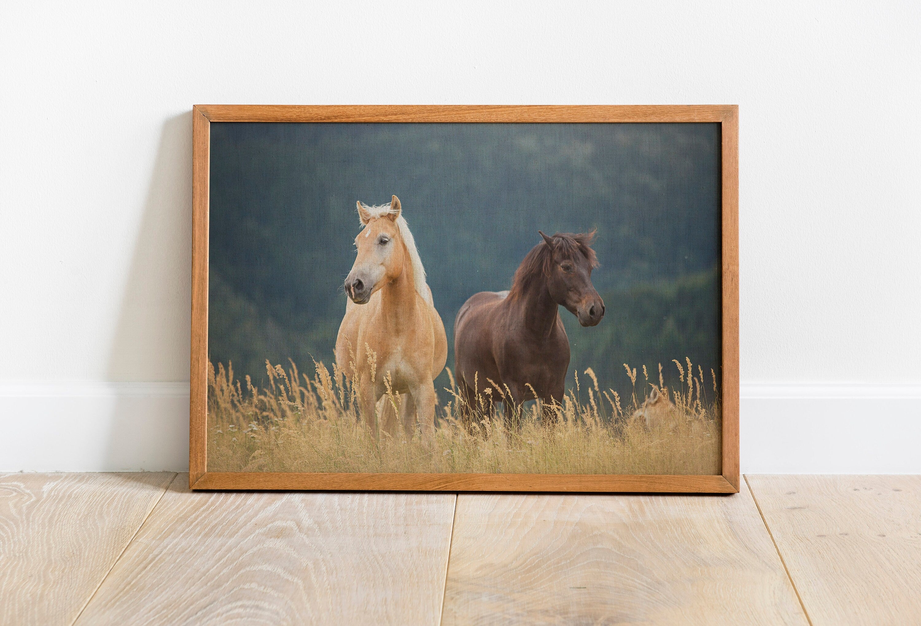 Horse Canvas Wall Art Decor