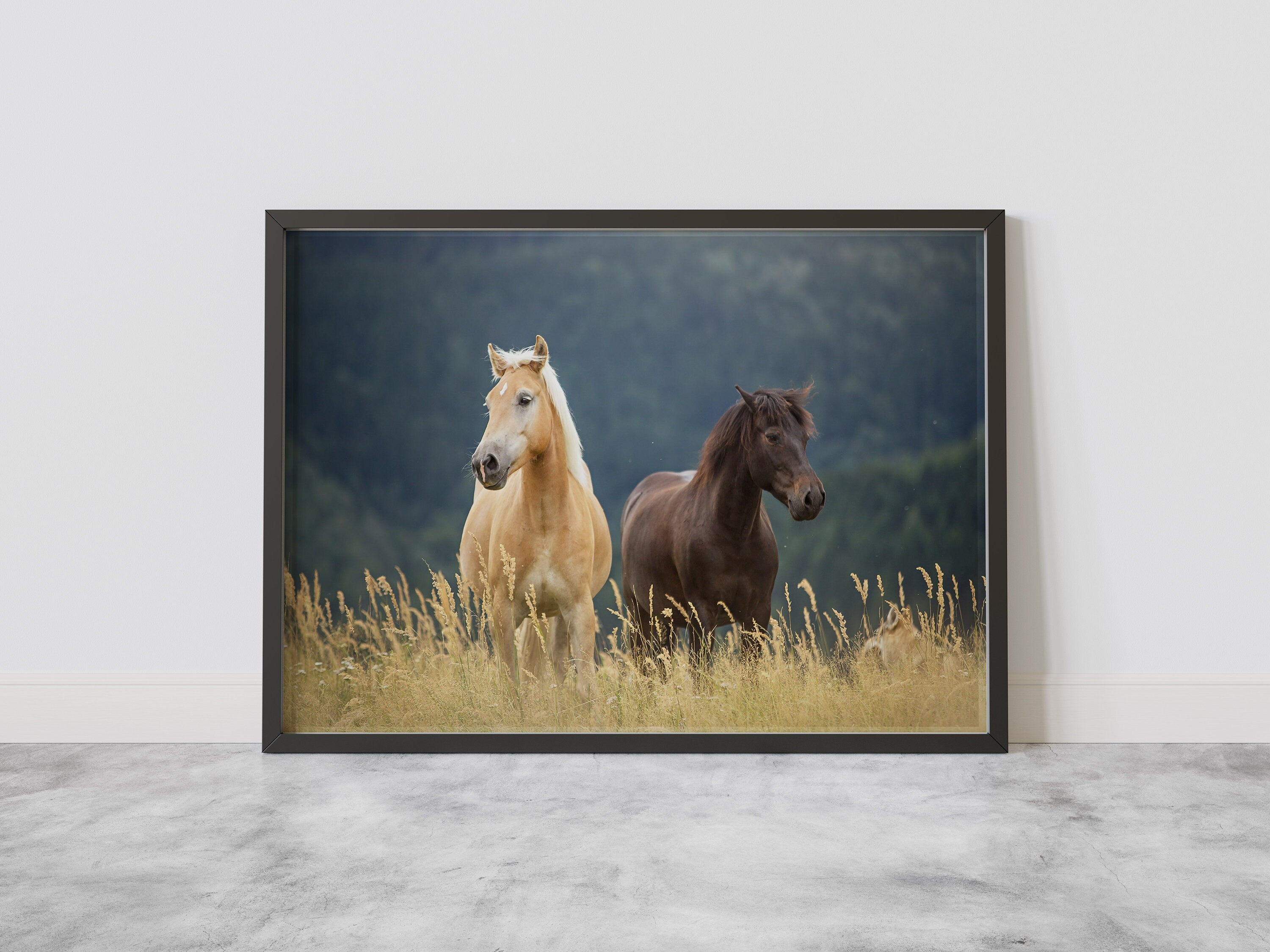 Horse Canvas Wall Art Decor