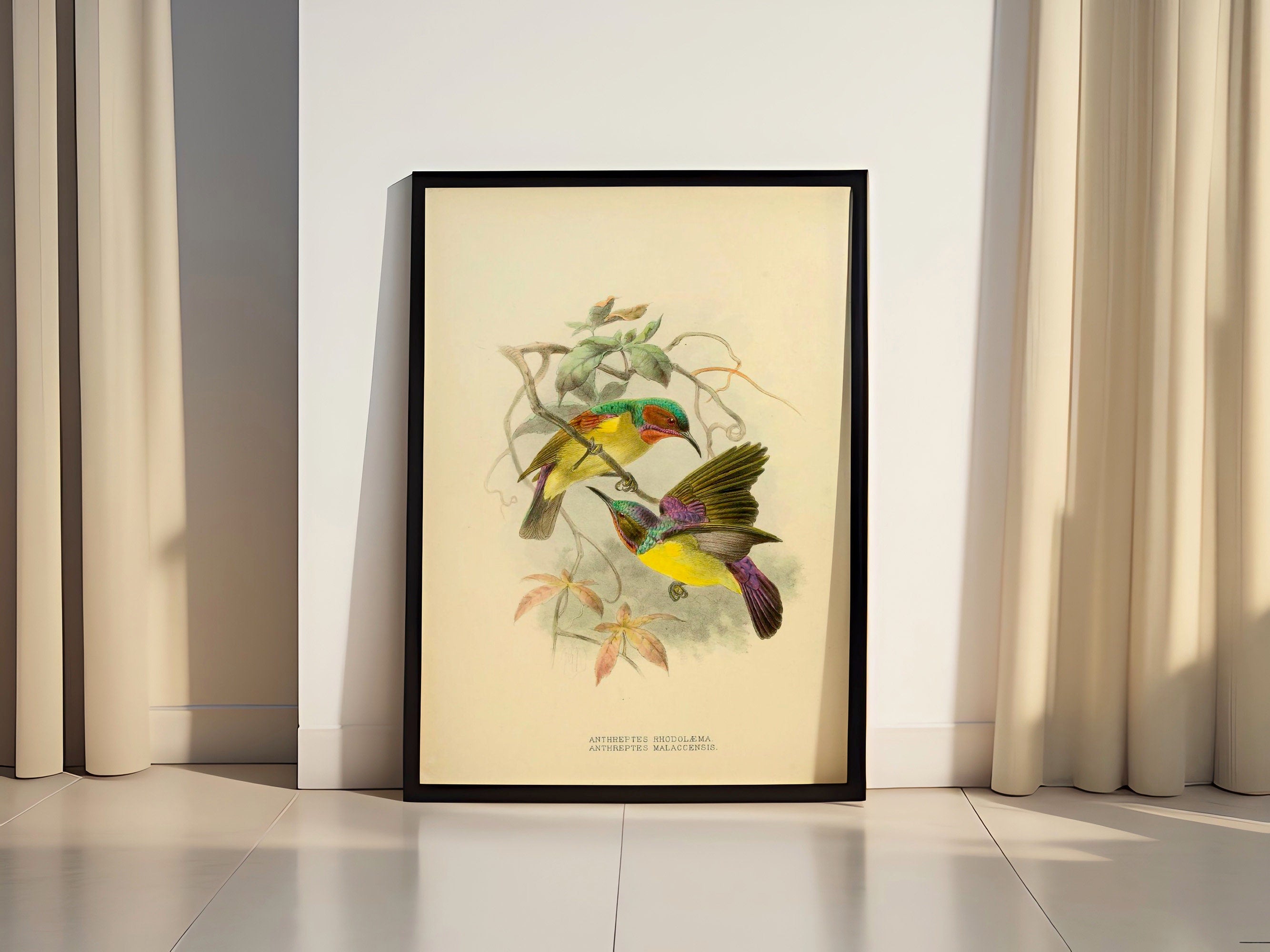 Vintage Bird Home Canvas  Poster