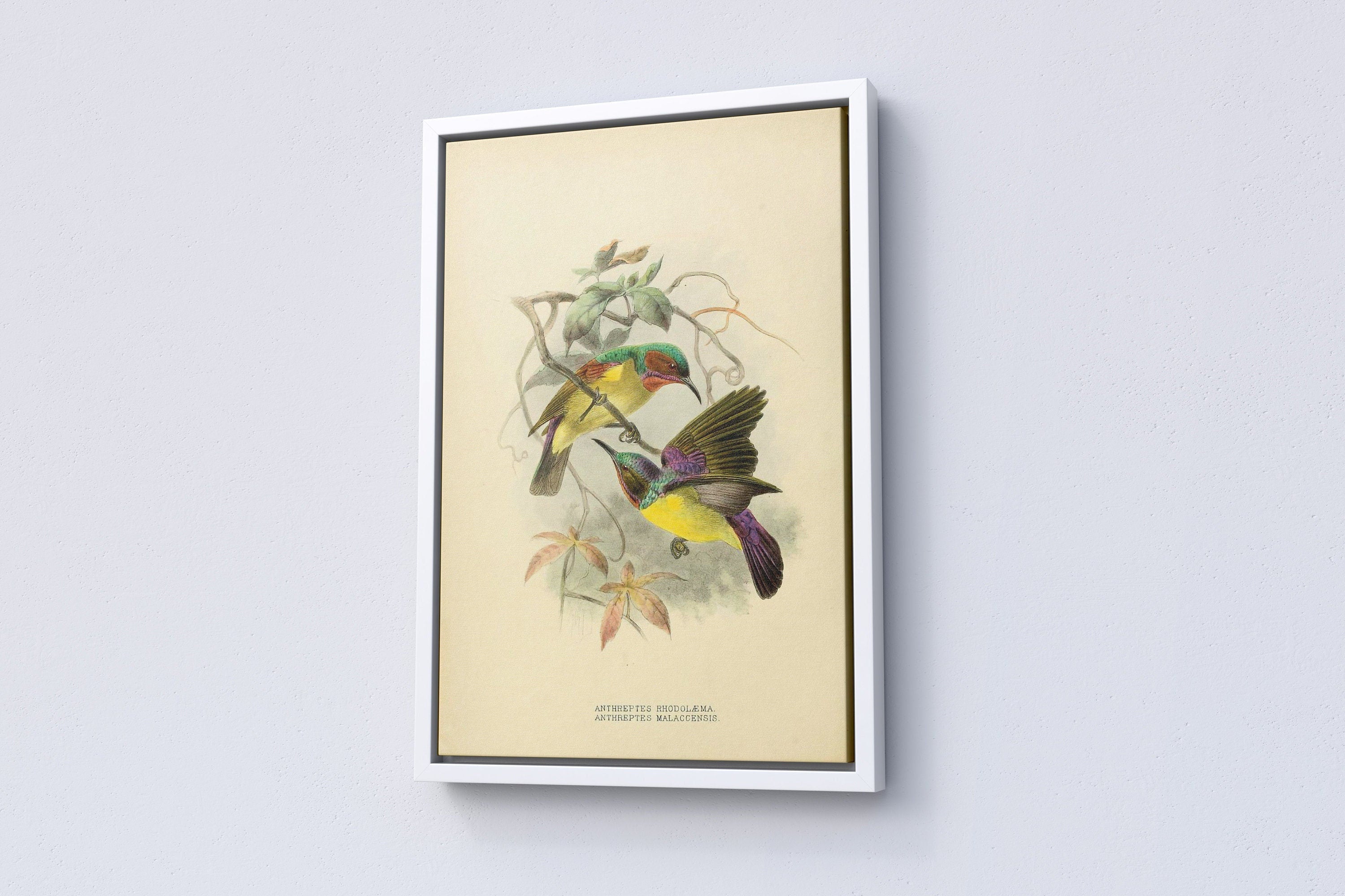 Vintage Bird Home Canvas  Poster