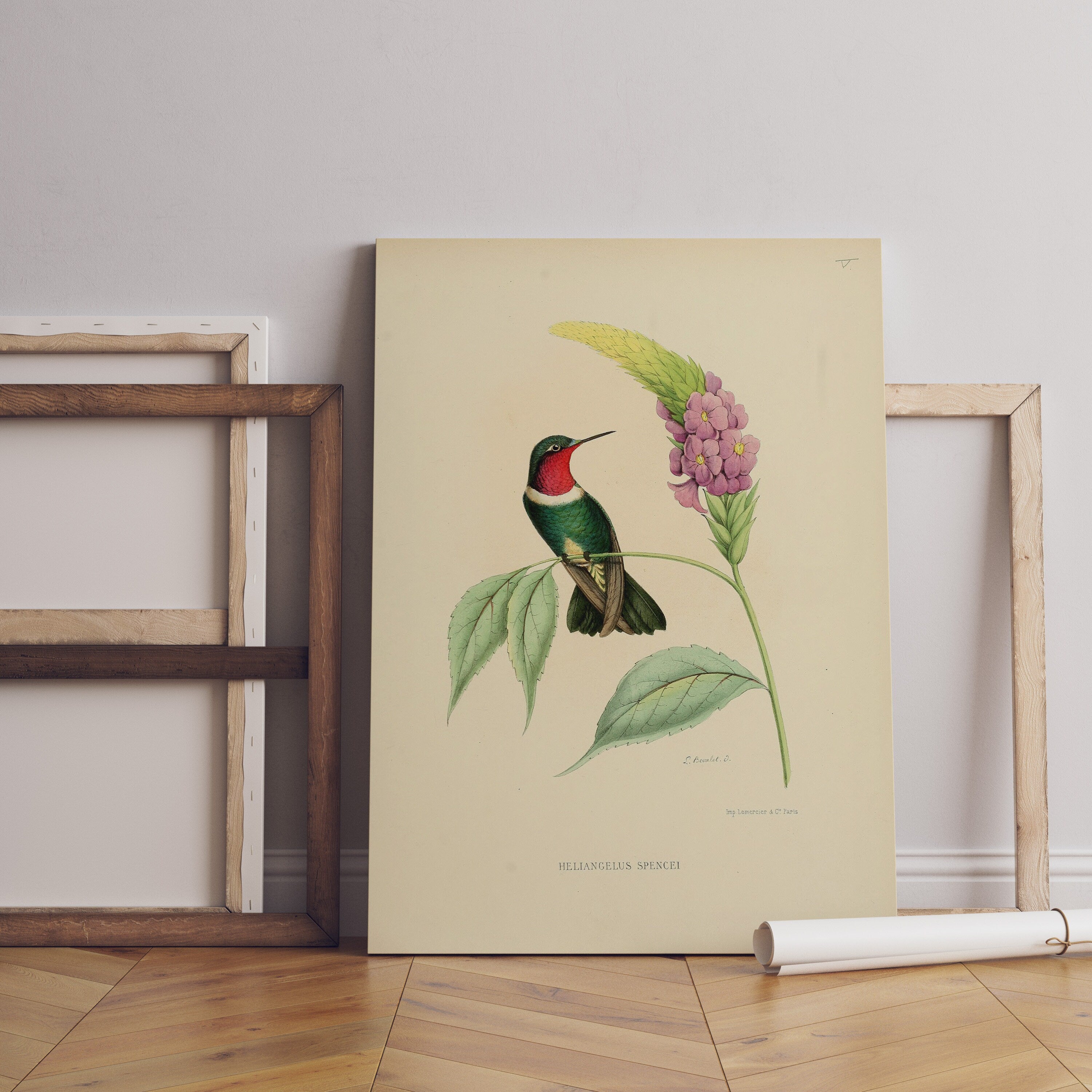 Vintage Bird Home Canvas Poster