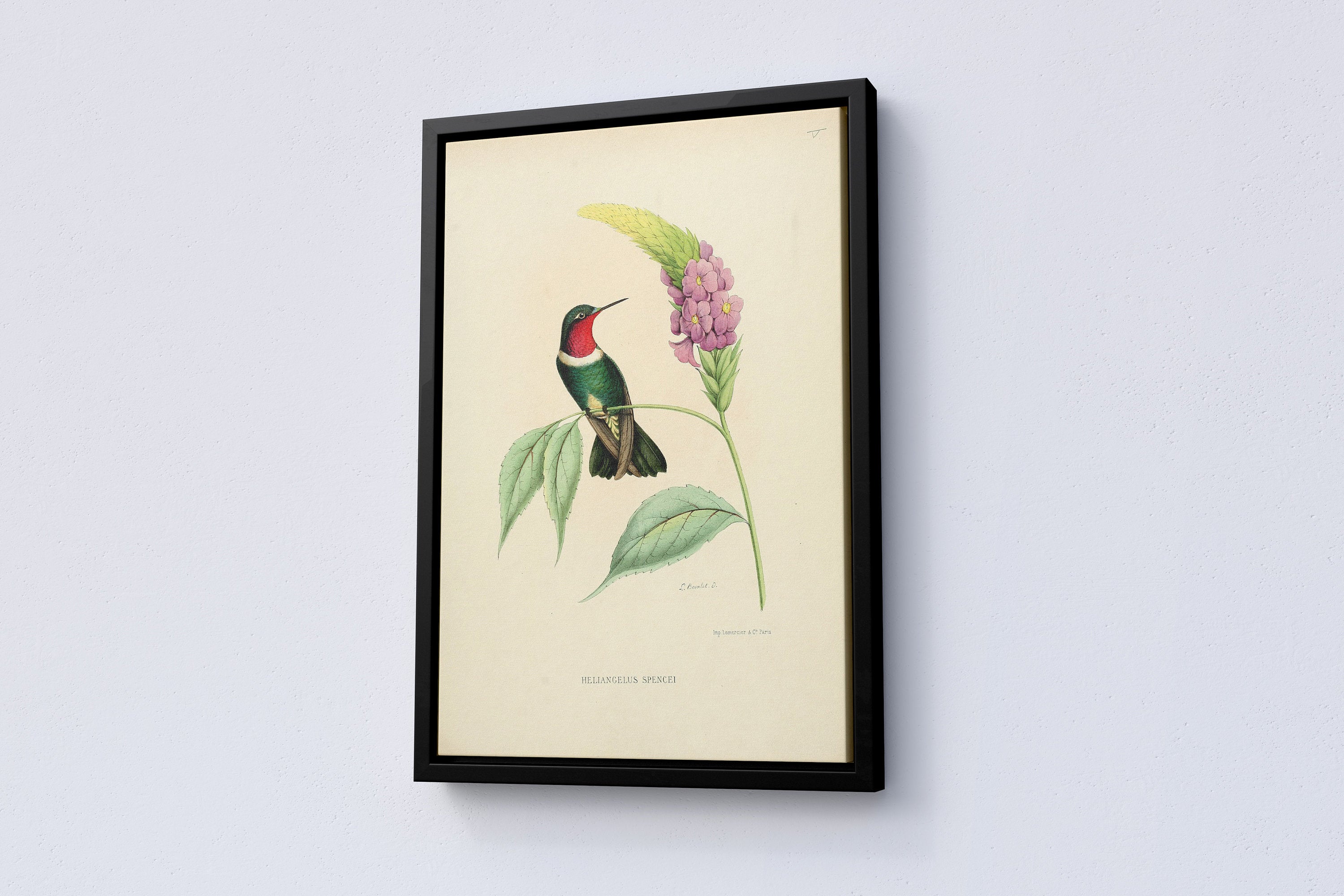 Vintage Bird Home Canvas Poster