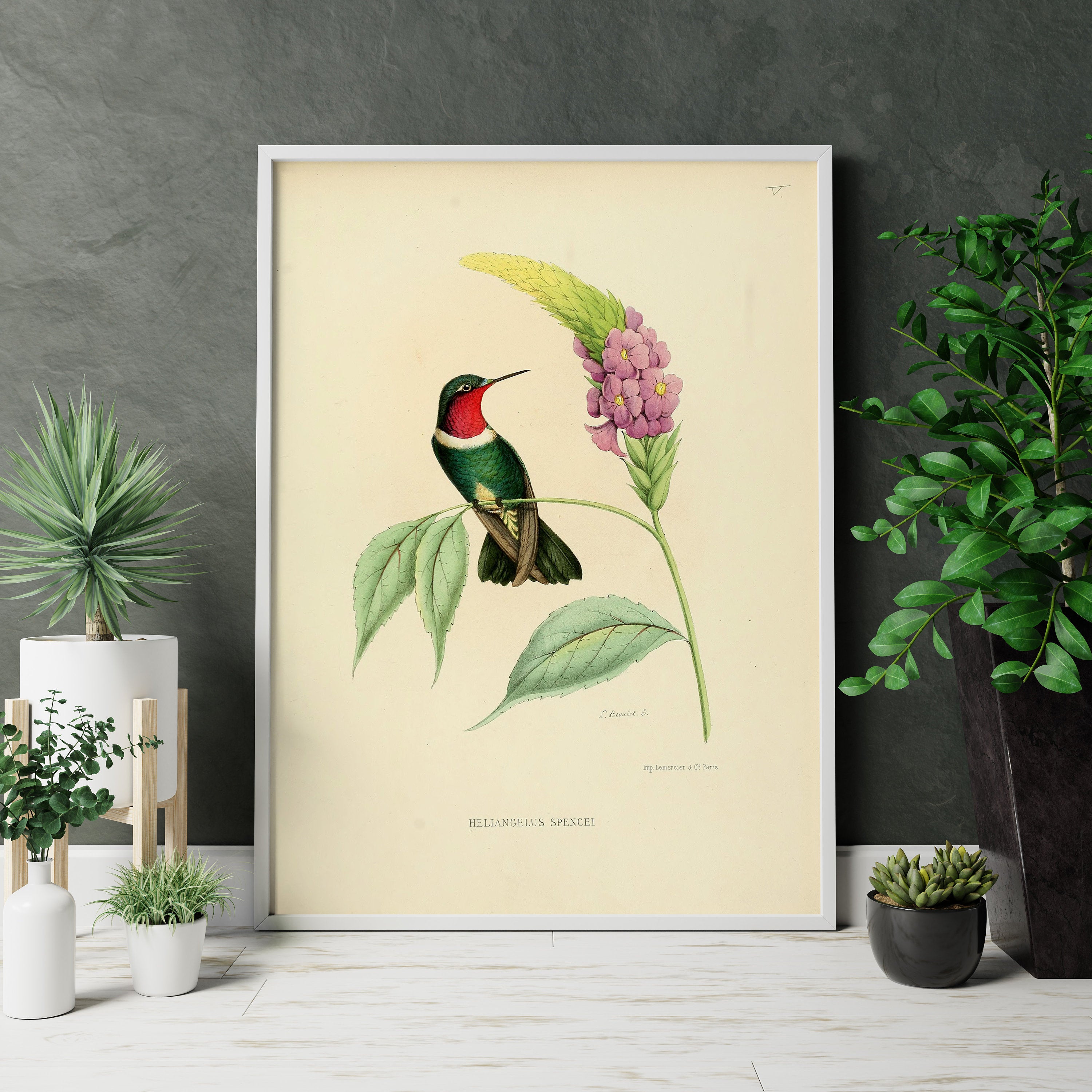 Vintage Bird Home Canvas Poster