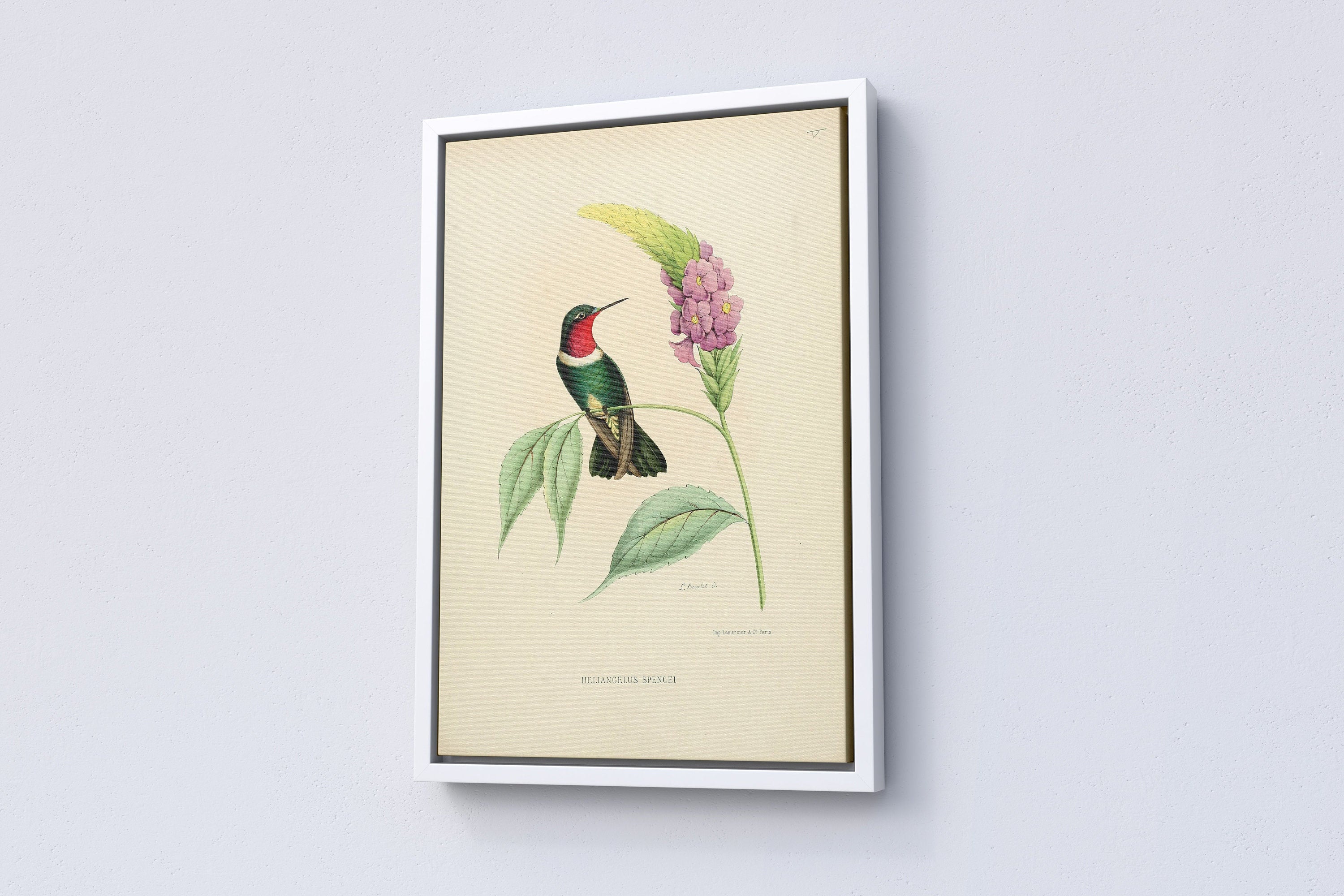 Vintage Bird Home Canvas Poster