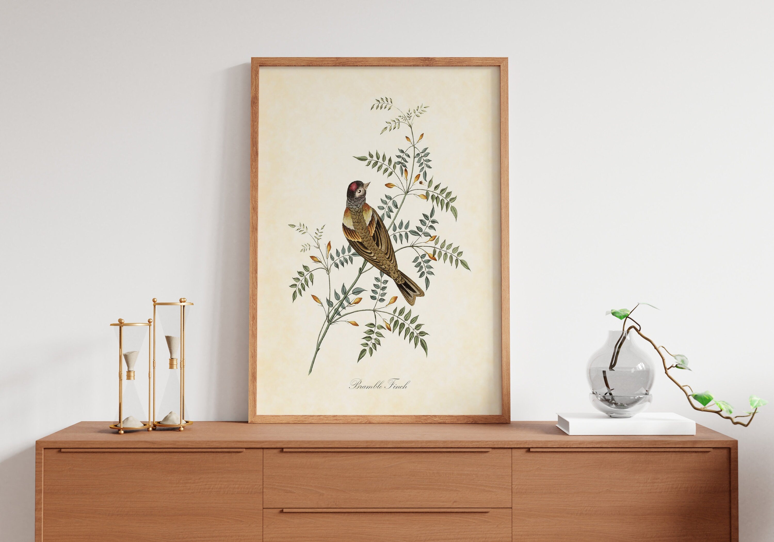 Vintage Bird Home Canvas Poster