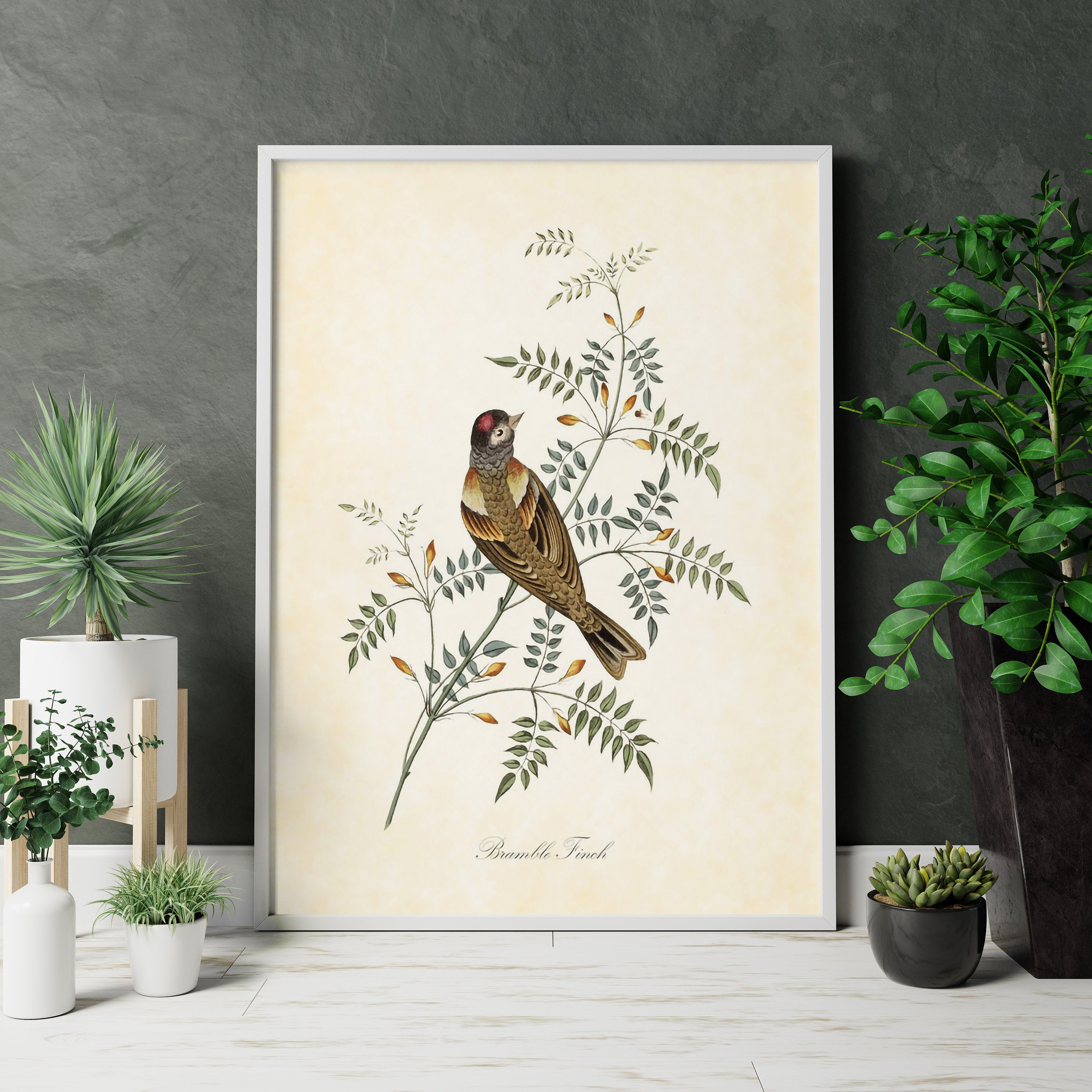 Vintage Bird Home Canvas Poster