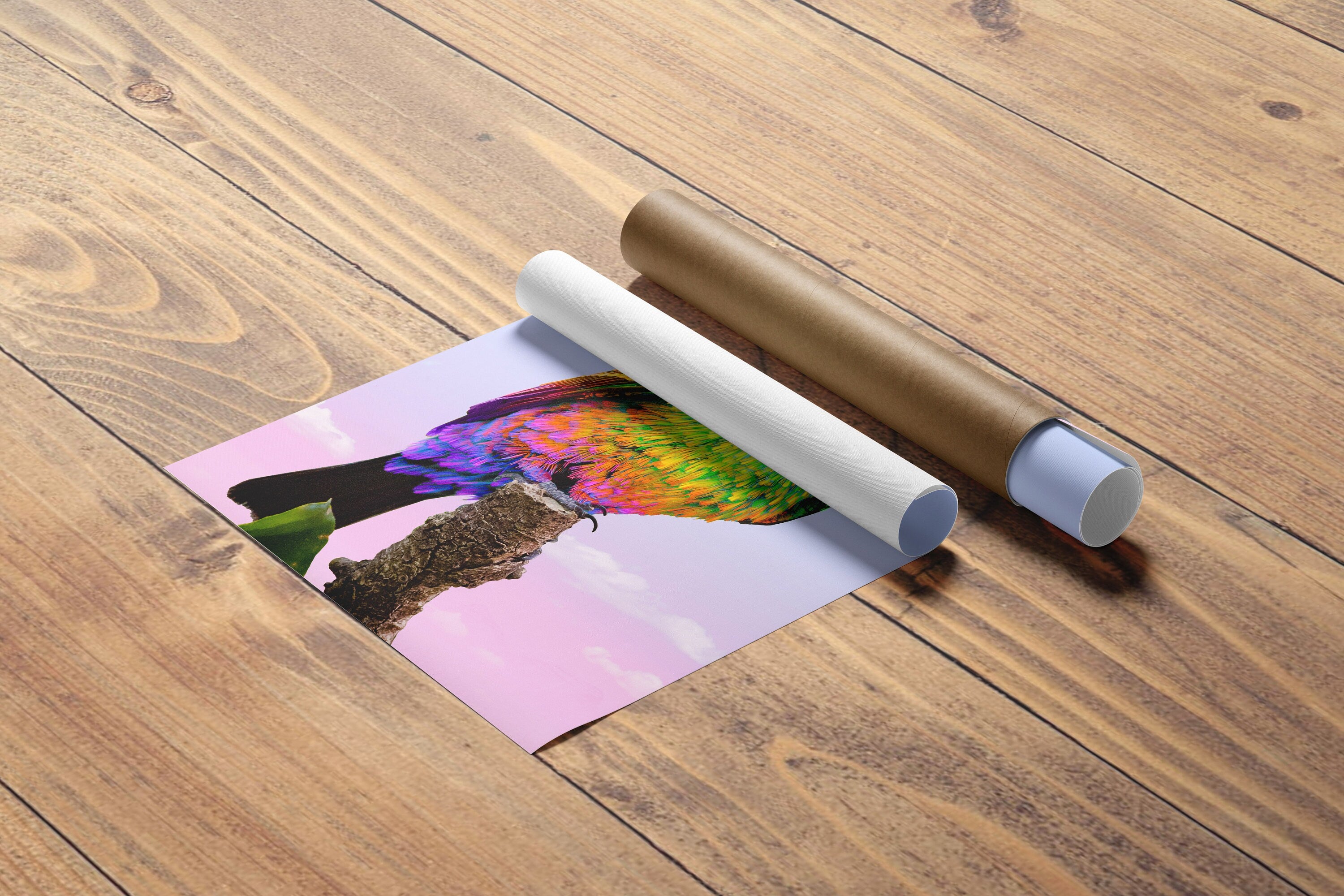 Rainbow Bird Canvas Poster