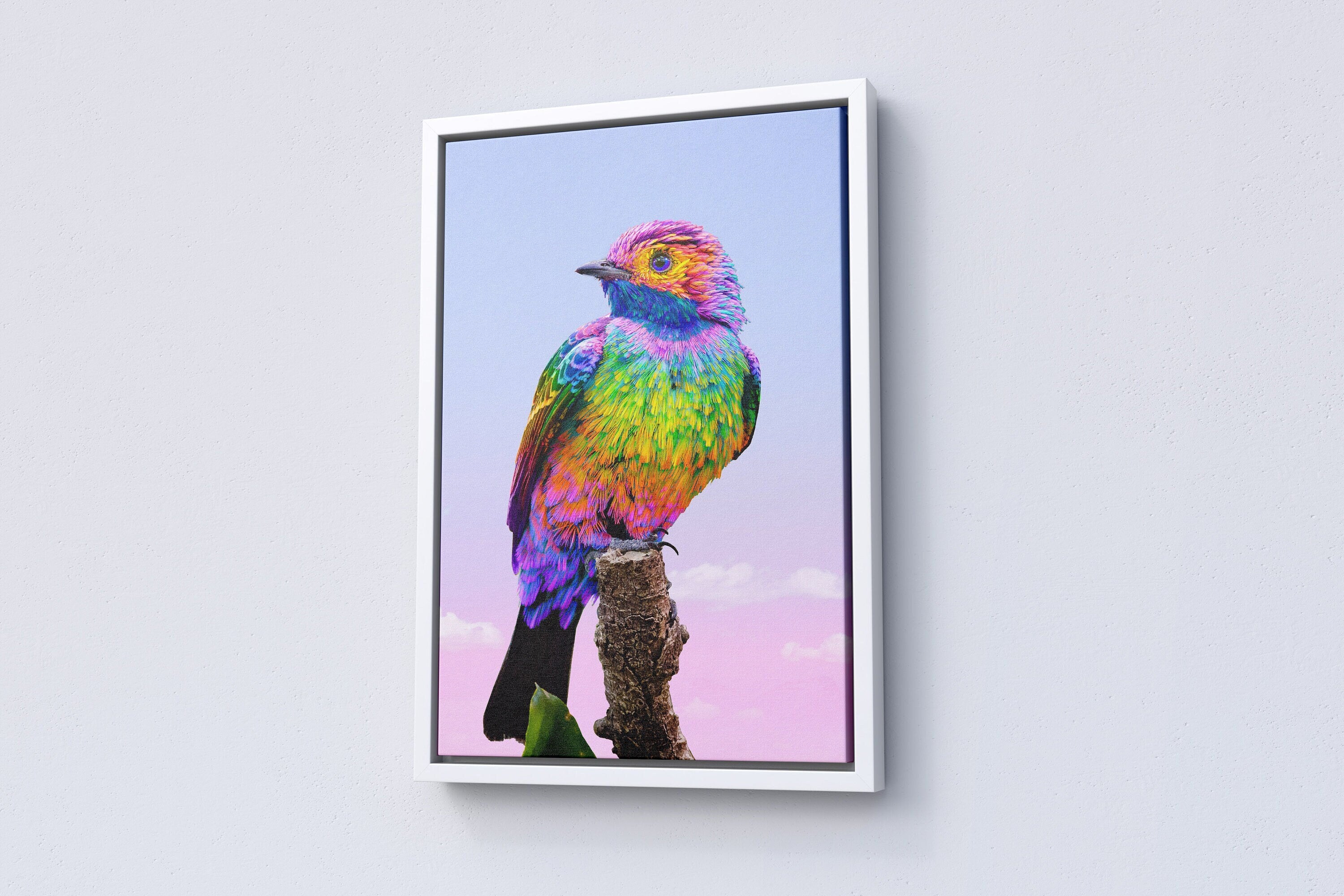 Rainbow Bird Canvas Poster