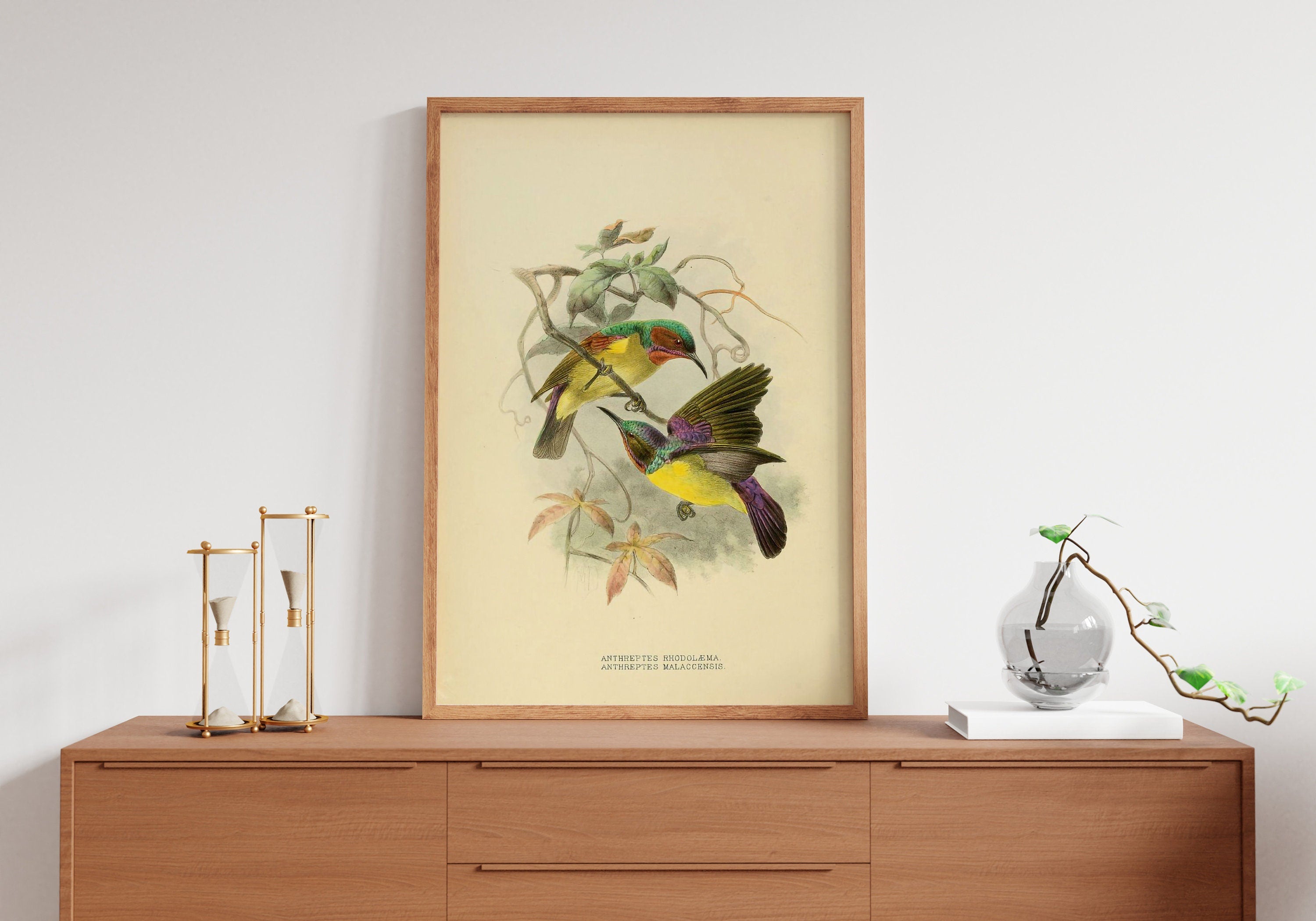 Vintage Bird Home Canvas  Poster