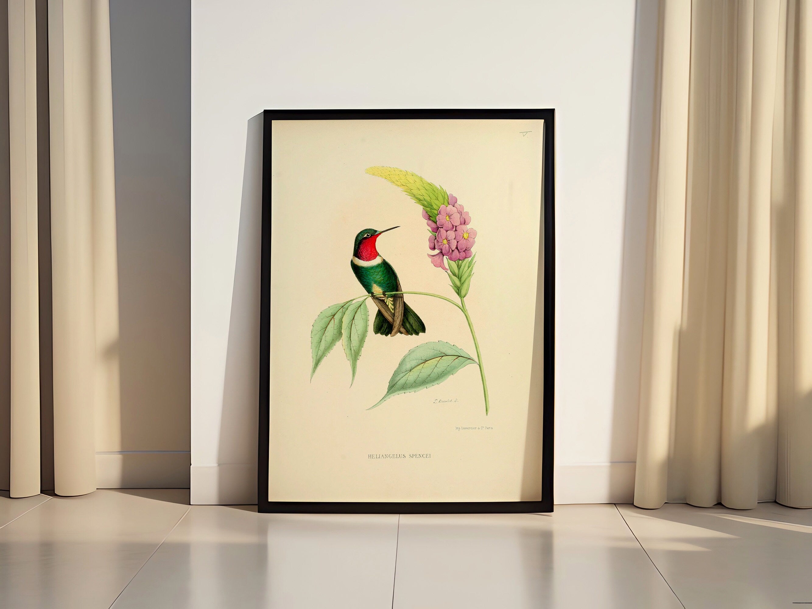 Vintage Bird Home Canvas Poster