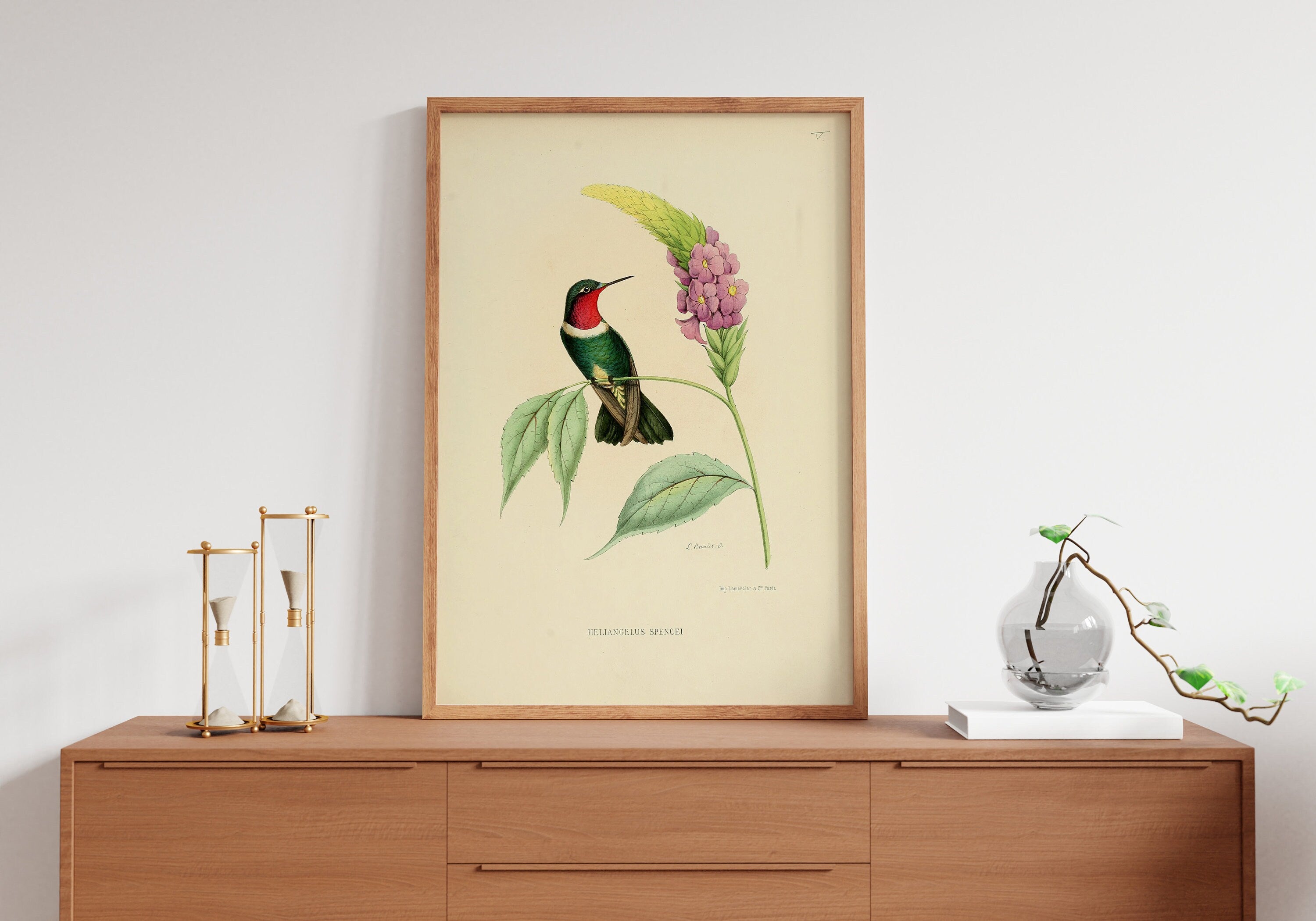 Vintage Bird Home Canvas Poster