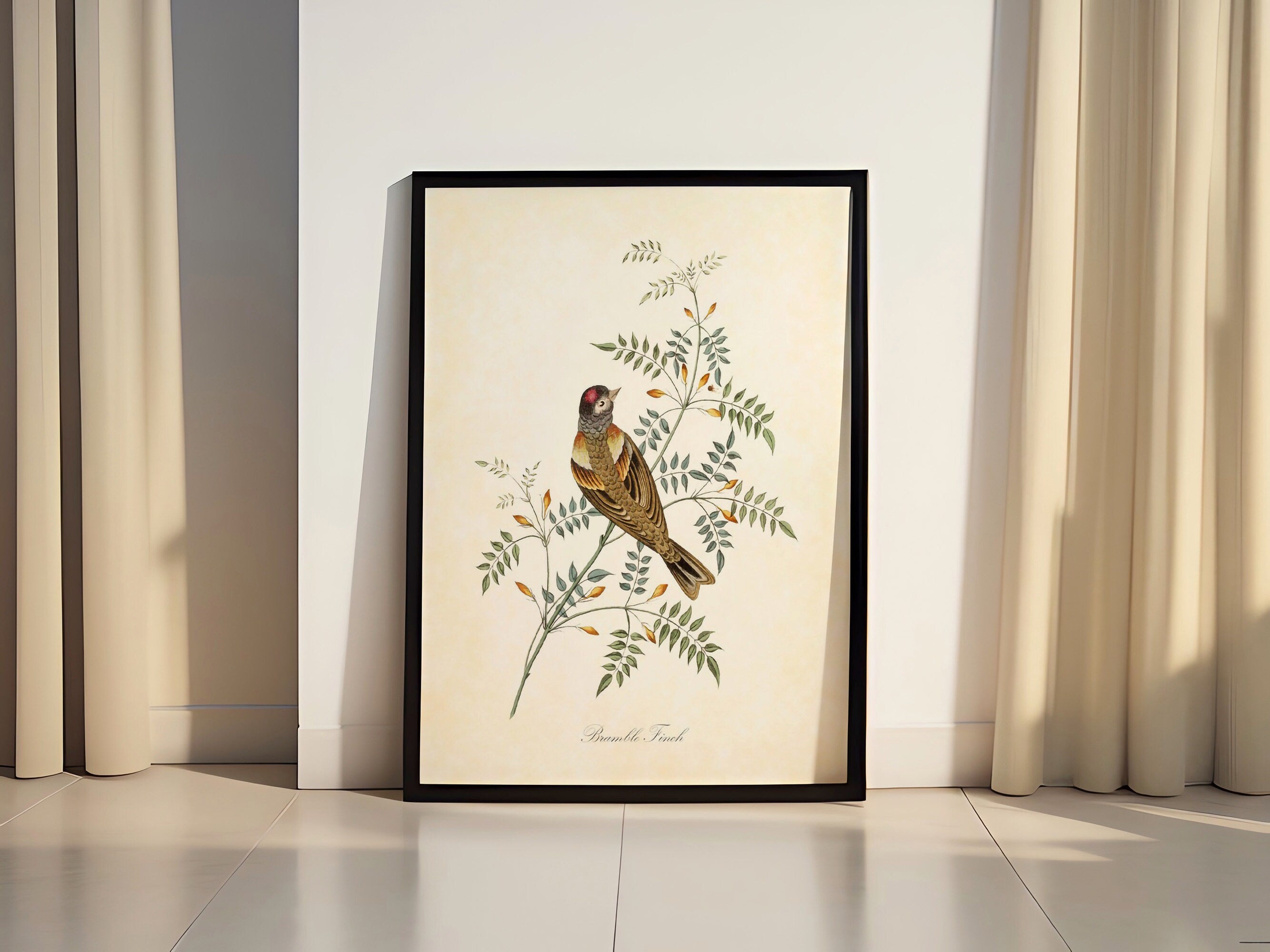 Vintage Bird Home Canvas Poster