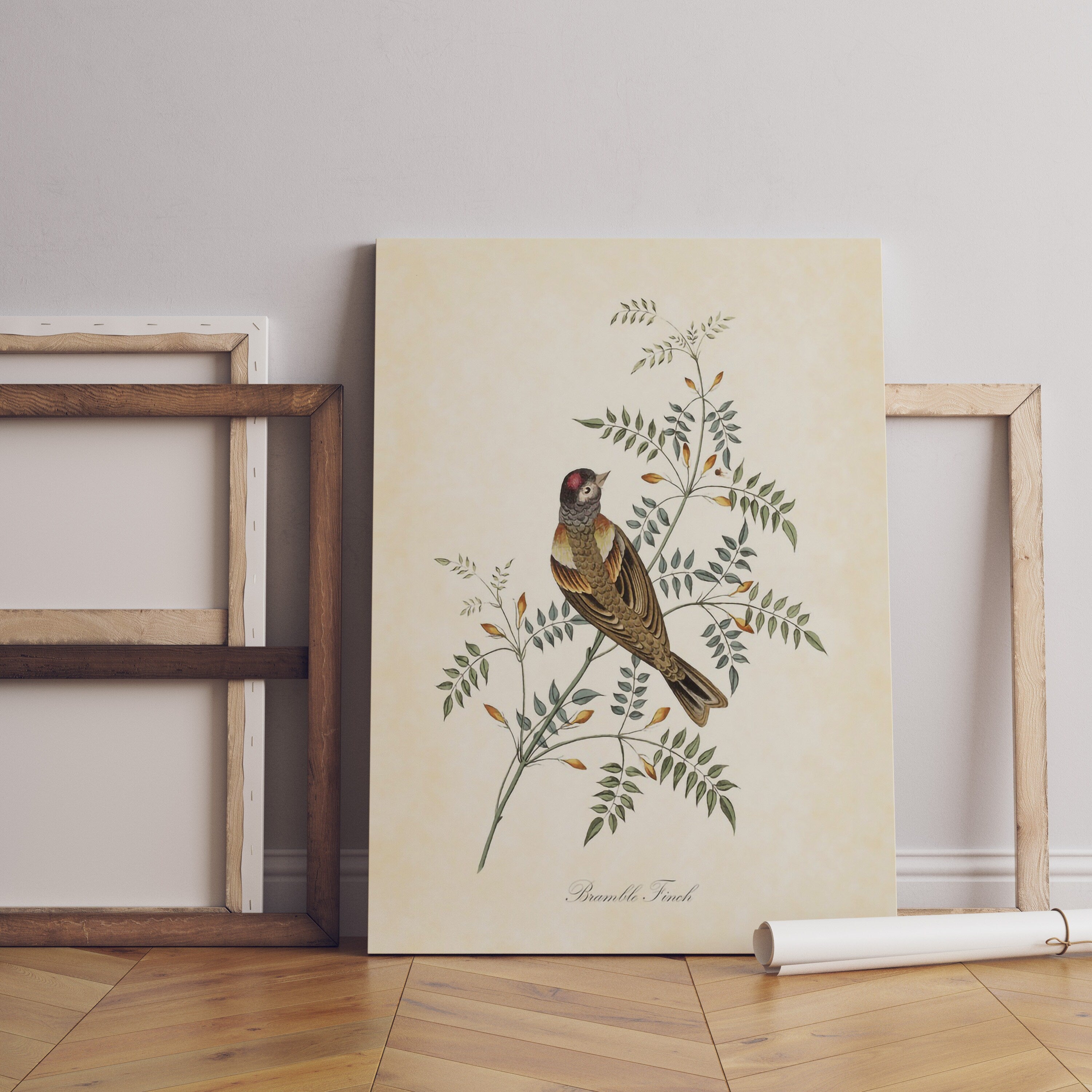 Vintage Bird Home Canvas Poster